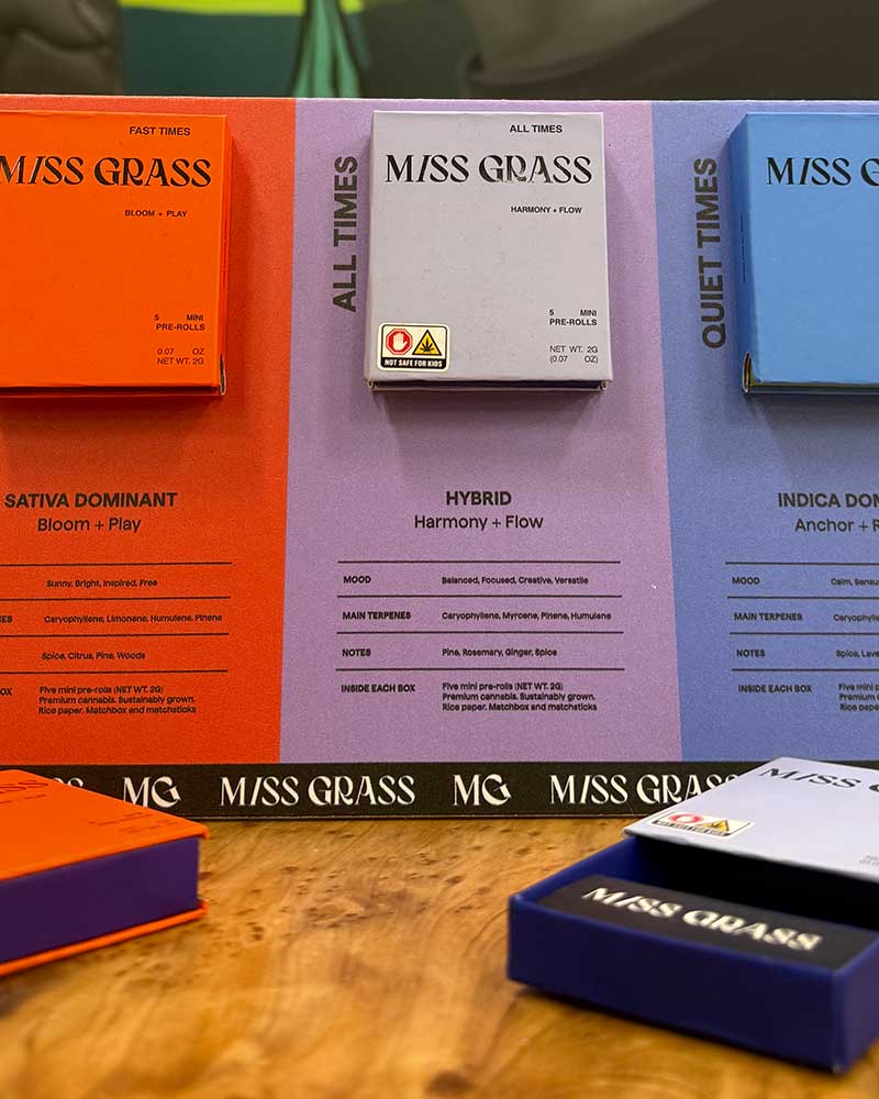 Gynsyng's products